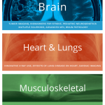 Exhibition Banners